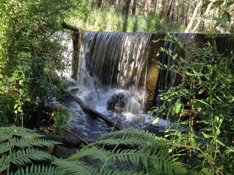Kinglake Forest Adventures Camp - Local Tourism 1