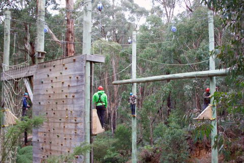 Kinglake Forest Adventures Camp - Local Tourism 2