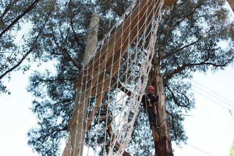 Kinglake Forest Adventures Camp - Local Tourism 4