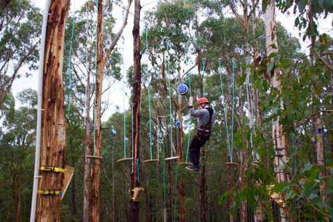 Kinglake Forest Adventures Camp - Local Tourism 5
