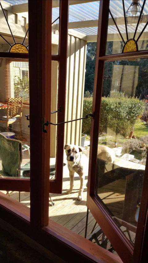 Mara Ponds Branxholm - Accommodation Australia 0