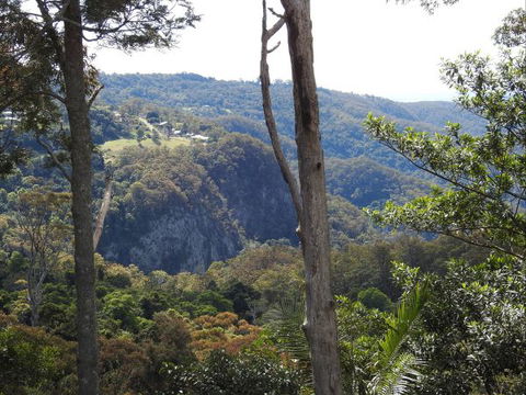 Mt Tamborine Motel - Local Tourism 0