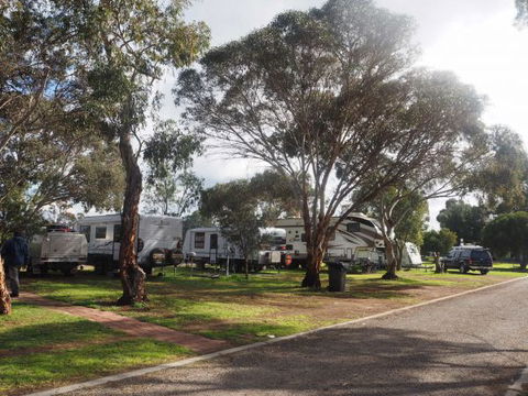 Murray Bridge Marina Camping And Caravan Park - Accommodation Australia 4