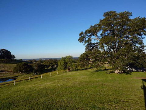Orangevale At Mount View - Australia Shopping 2