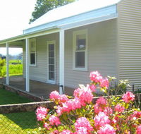 Orange Tree Cottage - Local Tourism