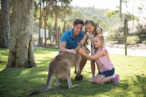 Paradise Country Farmstay - Local Tourism 7