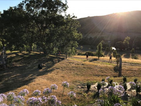Shearer's Hill - Luxury Farm Stay - Australia Shopping 9