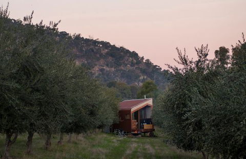 Shacky In The Olive Grove - Local Tourism 0