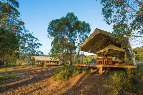Tanja Lagoon Camp - Local Tourism 0