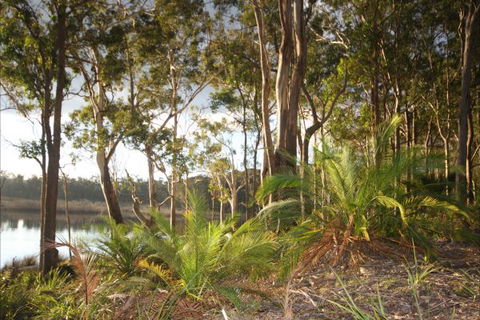 Tanja Lagoon Camp - Local Tourism 7