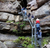 Takarakka Bush Resort Carnarvon Gorge - Local Tourism