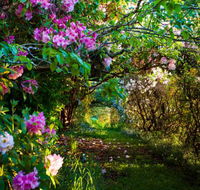 The Pear Walk - Local Tourism