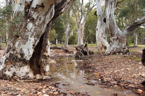 Upalinna Station - Local Tourism 2