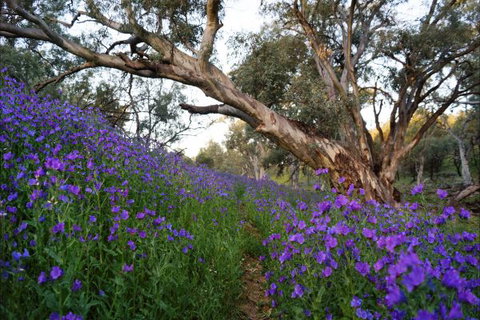 Upalinna Station - Local Tourism 4