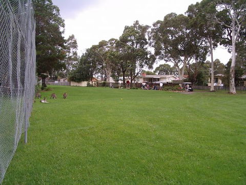 Waratah Cottage - Accommodation Australia 8