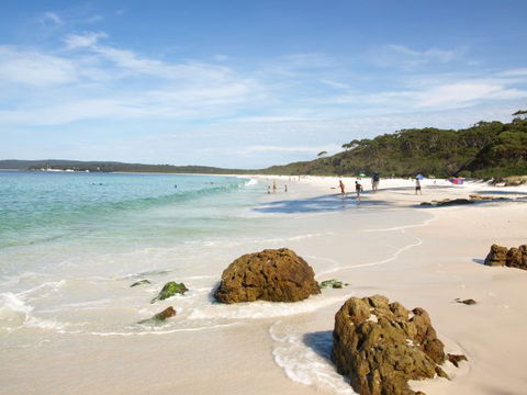 Waratah Cottage - Accommodation Australia 9