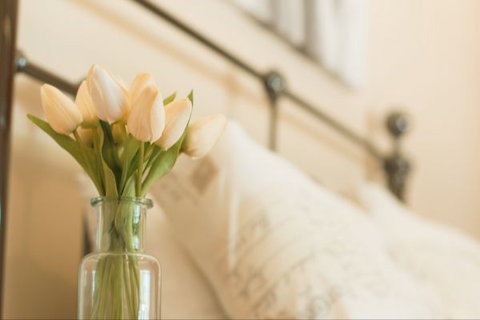 Wang Stays And Short Stops - Local Tourism 0