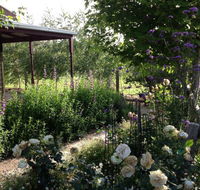 Wandana Bed and Breakfast - Accommodation Australia
