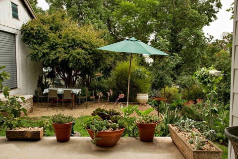 Young Garden Retreat - Accommodation Australia 4