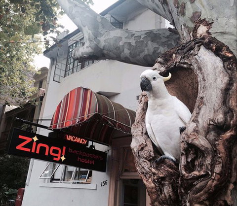 Zing! Backpackers Hostel - Accommodation Australia 0