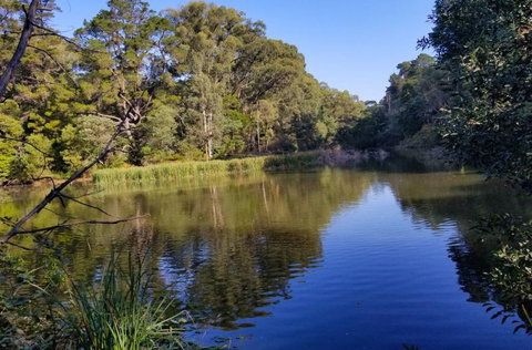 Ferny Hill Retreat - Accommodation Australia 3