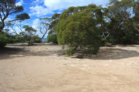 Acraman Creek Conservation Park Campgrounds - Bed n Breakfasts 0
