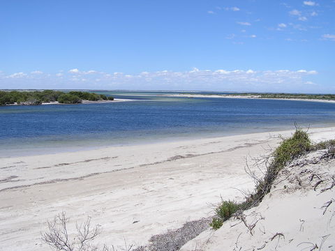 Acraman Creek Conservation Park Campgrounds - Bed n Breakfasts 1