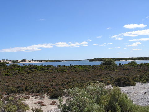 Acraman Creek Conservation Park Campgrounds - Bed n Breakfasts 2