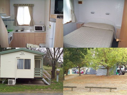 Adelong Golden Gully Caravan Park - Local Tourism 4
