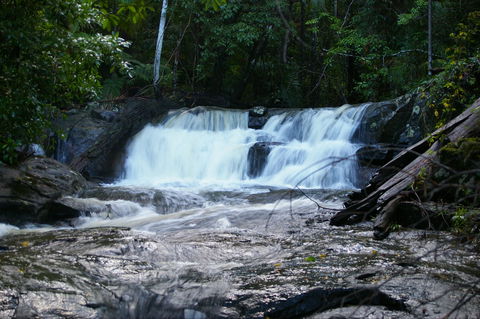 Bellthorpe Stays - Nature's Retreat - Local Tourism 5