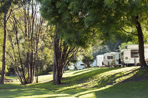 BIG4 Wye River Holiday Park - Accommodation Australia 7