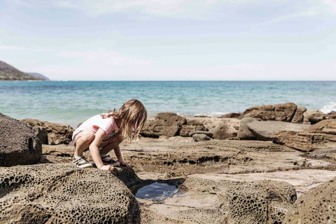 BIG4 Wye River Holiday Park - Accommodation Australia 9