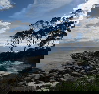 Binalong Bay Beach Shack - Accommodation Australia