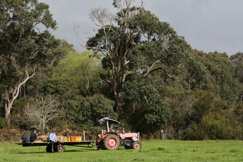 Boronia Farm - Accommodation Australia 0