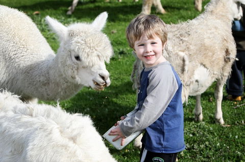 Boronia Farm - Accommodation Australia 2