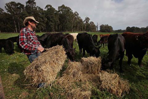 Boronia Farm - Accommodation Australia 5