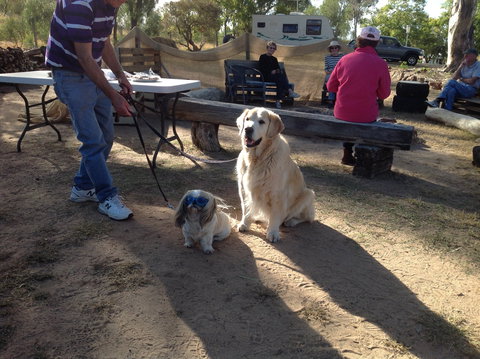 Cunnamulla Tourist Park - Local Tourism 4