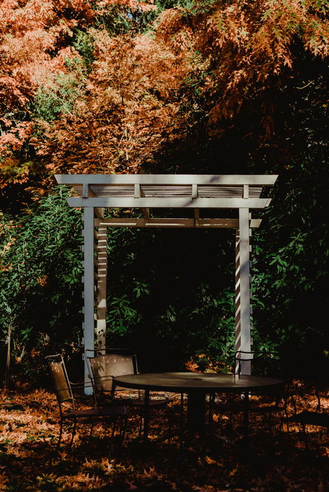 Dennarque Estate - Local Tourism 7