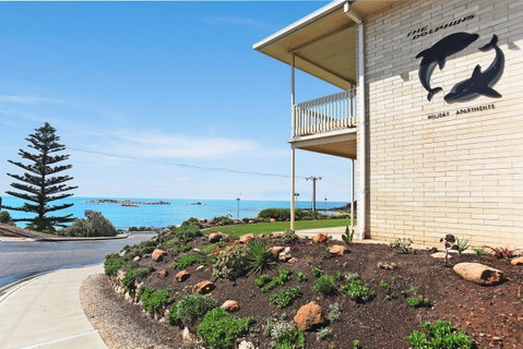 Dolphins 2 - Accommodation Australia 0