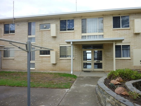 Dolphins 2 - Accommodation Australia 9