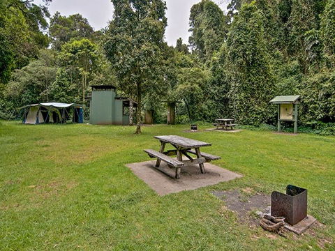 Forest Tops Campground - Local Tourism 0