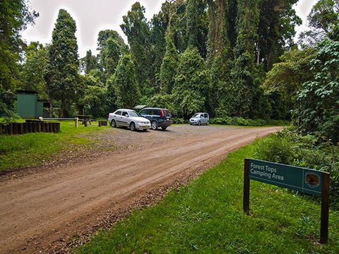 Forest Tops Campground - Local Tourism 1