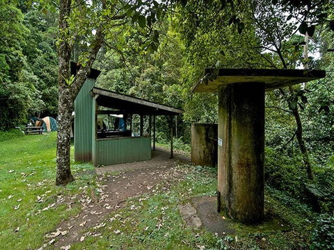 Forest Tops Campground - Local Tourism 3