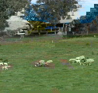 Gaddleen Grove Cottages - Accommodation Australia
