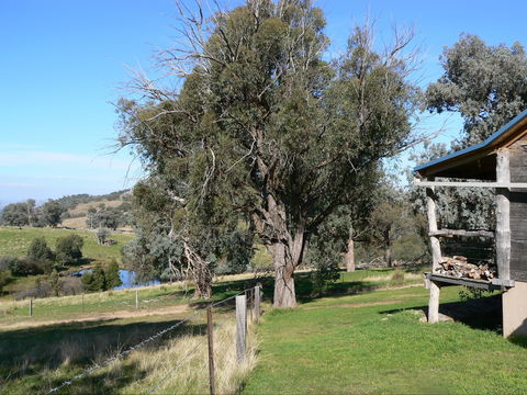 Gaddleen Grove Cottages - Local Tourism 9