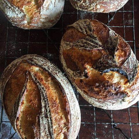 Girragirra Retreat - Australia Shopping 5