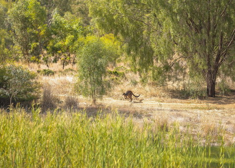 Girragirra Retreat - Australia Shopping 7