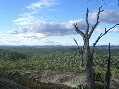 Goat Rock Camping Ground And Tourist Park - Accommodation Australia 0
