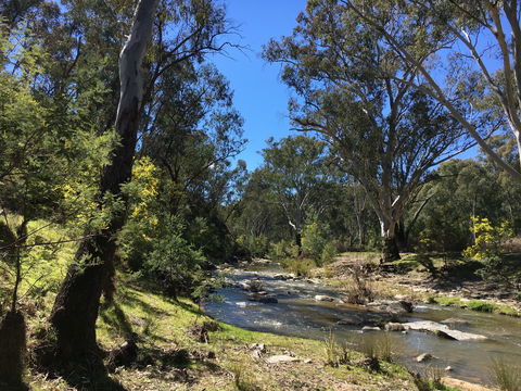 Highfield Farm And Woodland Bush Campsites - Local Tourism 0