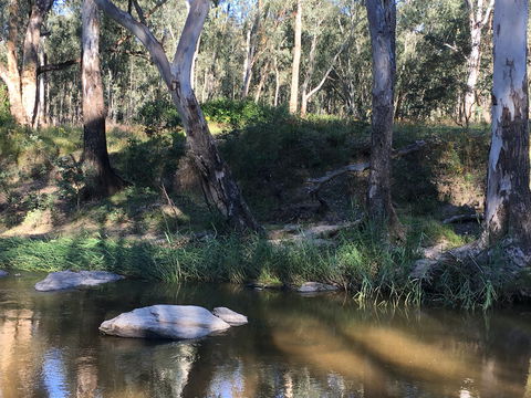 Highfield Farm And Woodland Bush Campsites - Local Tourism 1